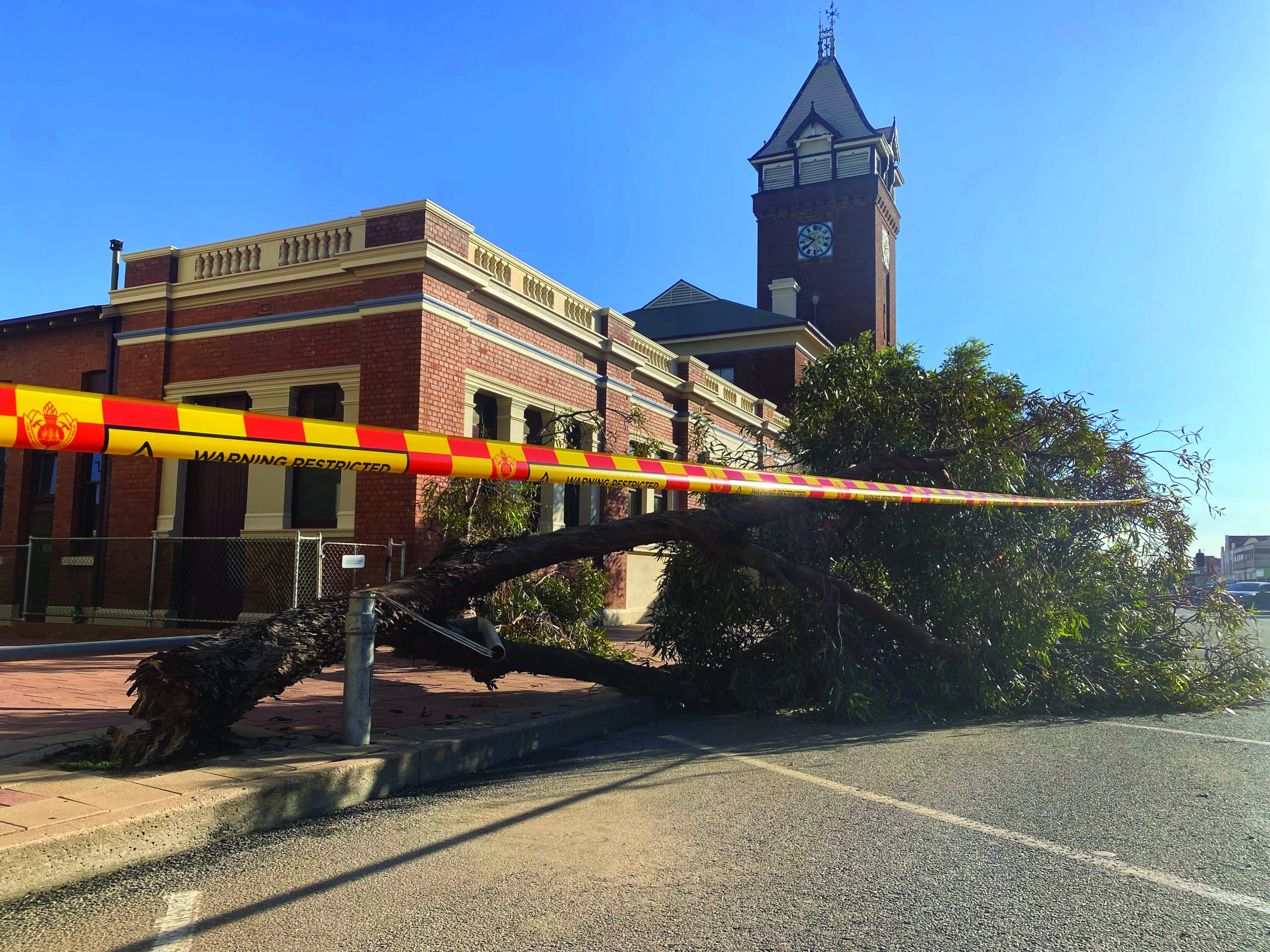 Fallen tree in Argent Street, in front of Post Office.