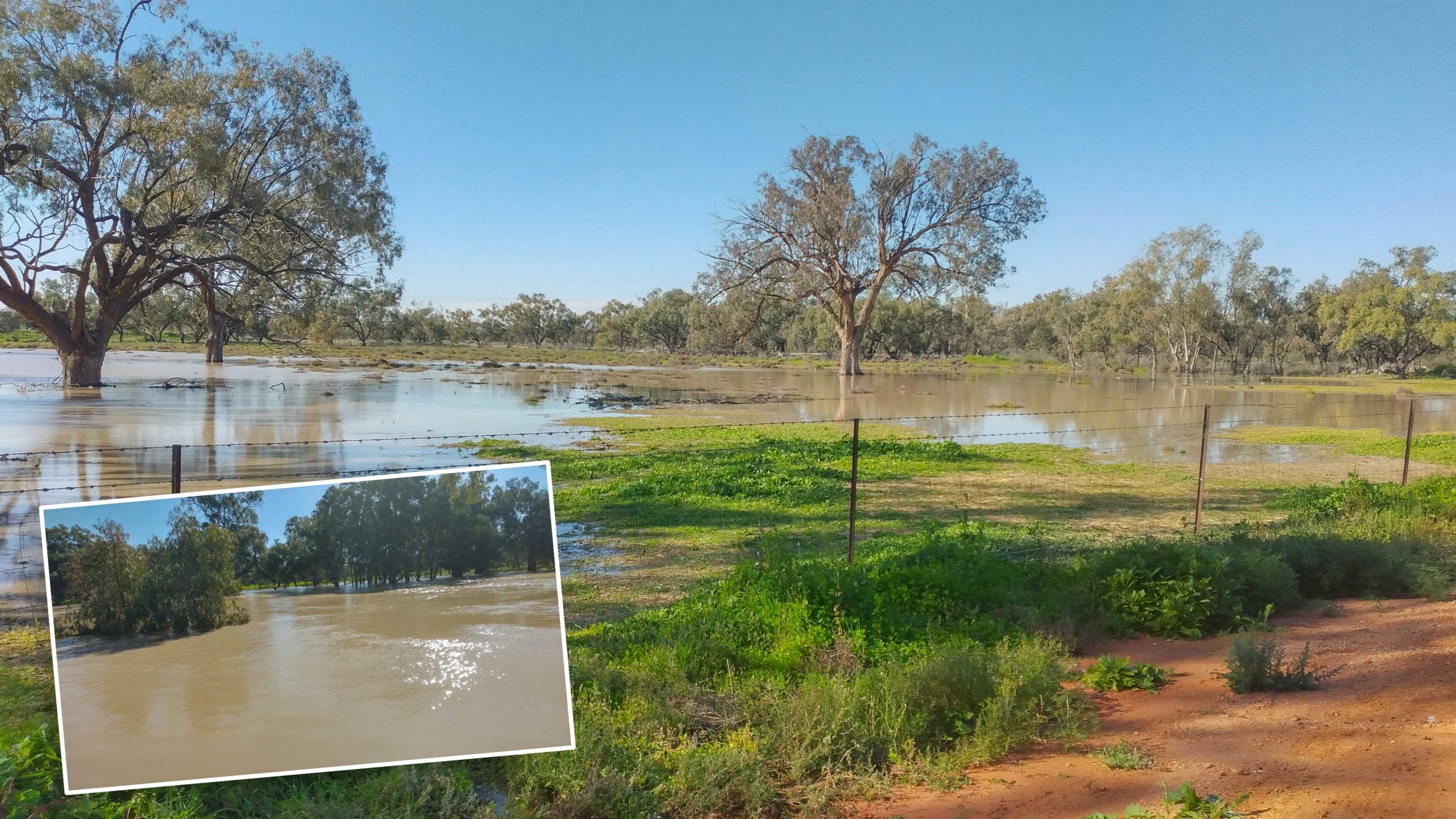 Flooding is beginning to impact Wilcannia, with flooding running down the Darling. Minor flooding is starting to effect Menindee.